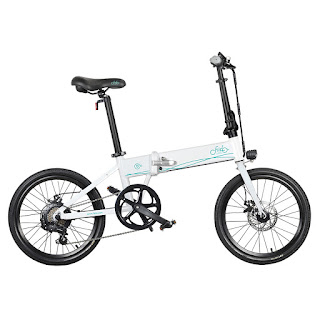 FIIDO D4s Electric Bike