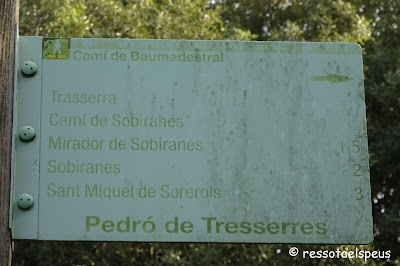 Camí a Sant Miquel de Sorerols