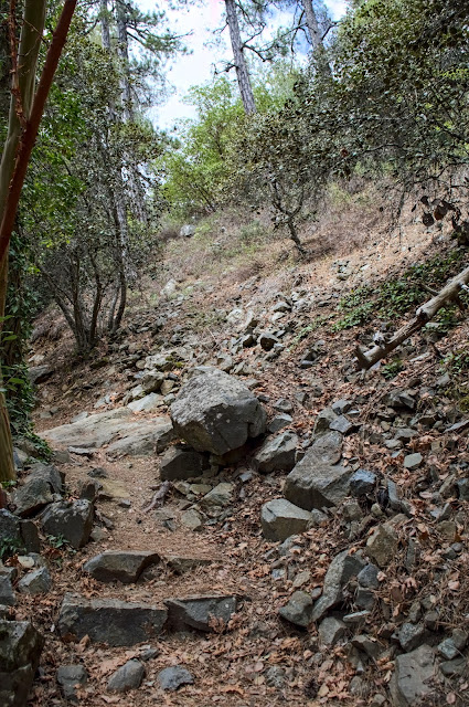 Part of the trail in Caledonian waterfalls at Mount Troodos, Cyprus. 