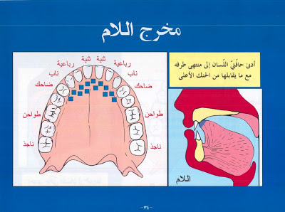 مخرج حرف اللام