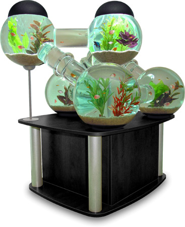 custom-fish-tank