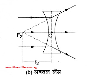 उत्तल लेंस	अवतल लेंस 1.	उत्तल लेंस दोनों किनारों की अपेक्षा बीच में मोटा होता है |	अवतल लेंस दोनों किनारों के अपेक्षा बीच में पतला होता है | 2.	यह प्रकाश को अभिसरित करता है |	यह प्रकाश को अप्सारित करता है | 3.	इसका फोकस वास्तविक होता है |	इसका फोकस काल्पनिक होता है |