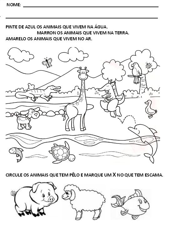 [Animais+domésticos+e+selvagens1.JPG]