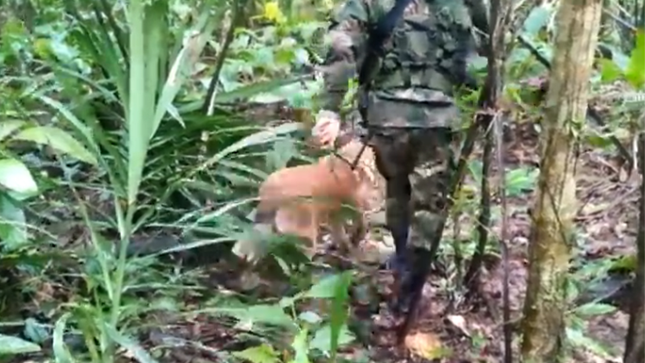 https://www.notasrosas.com/General Pedro Arnulfo Sánchez: “Estuvimos a cien metros de los niños perdidos en la selva”