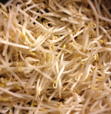 bean sprouts