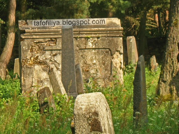старое еврейское кладбище в Гродно, кладбище, могилы, надгробия