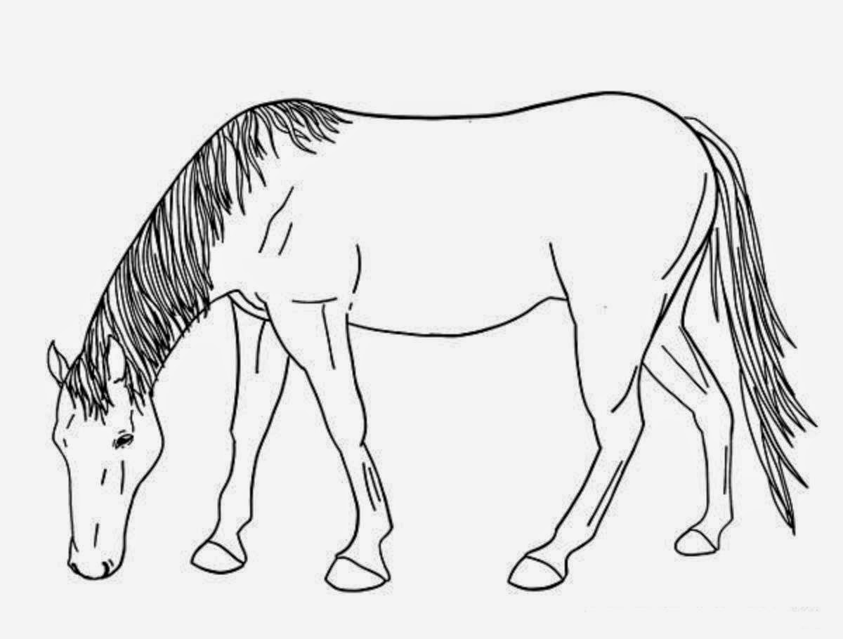 Download Simple Horse Drawings For Kids Images Sketch Coloring Page
