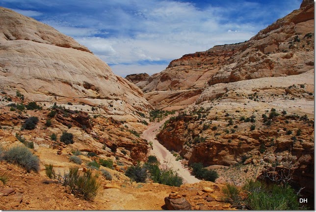05-22-14 Capital Reef NP (209)