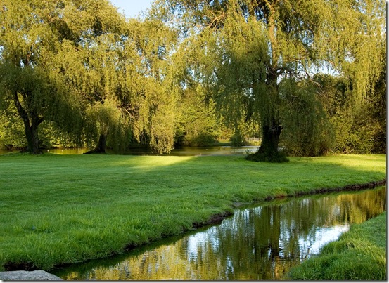 2006 - Cheshire - Willows - Ind. Park