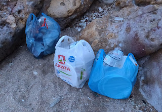 Three of the four bags of litter I collected