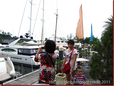 IMG_2186 IMG_2186