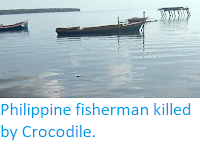 https://sciencythoughts.blogspot.com/2019/10/philippine-fisherman-killed-by-crocodile.html