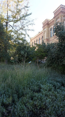 Jardín del Museo de Ciencias Naturales