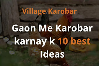 Best Village Business Ideas