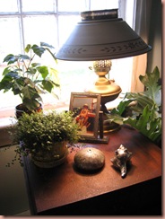 myplants3