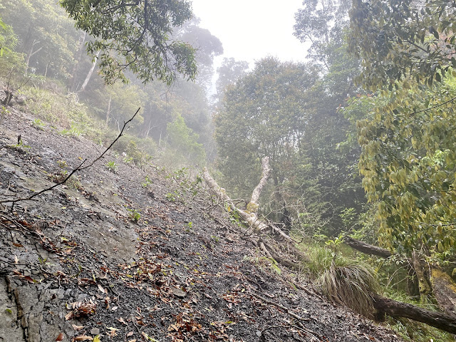 往南我丹山-大岩壁