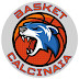 Si torna a vincere. Valdicornia - Basket Calcinaia 75-77    