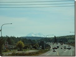 DSCN4229
