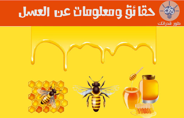 حقائق ومعلومات عن العسل