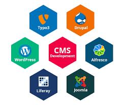 Content Management System