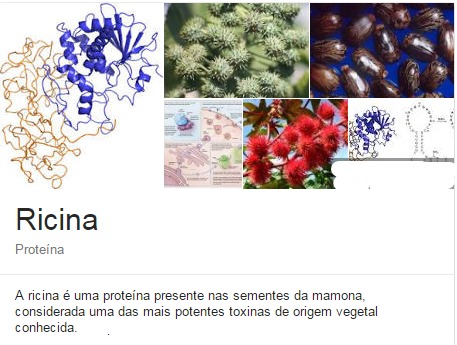  Intoxicações e mortes por Venenos Naturais : Ricina ,Saxitoxina , Cicuta e Estricnina