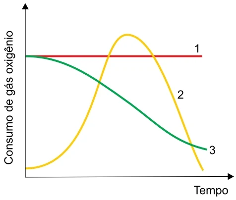 Gráfico