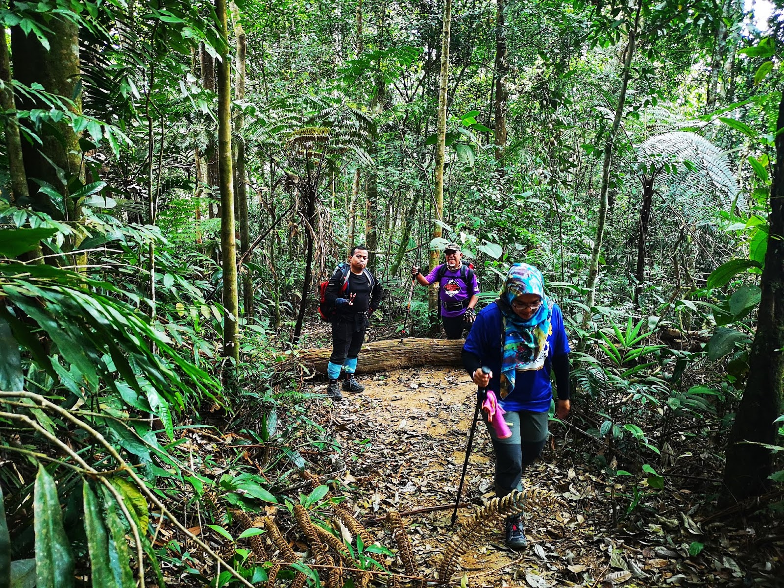 gunung berembun negeri sembilan