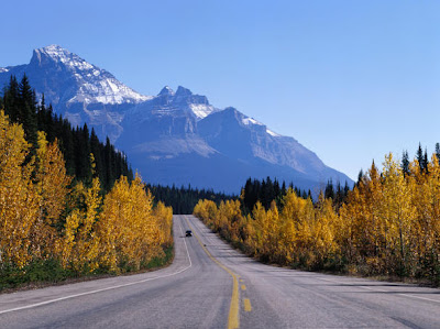 Vehicle on Icefields Parkway