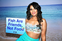 Richa Chadda's photo shoot for PETA