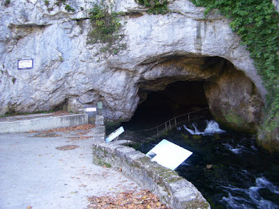 Irudia