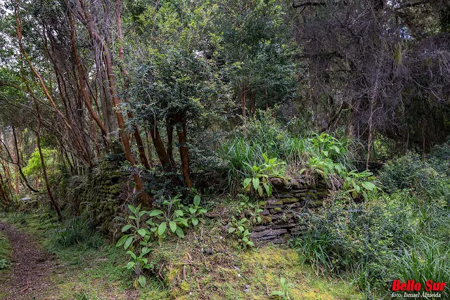 Hermosos parajes y fauna de la Isla de Mancera