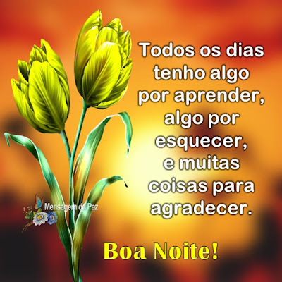 Todos os dias tenho   algo por aprender,   algo por esquecer,   e muitas coisas para agradecer.  Boa Noite!