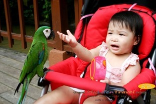 Langkawi Wildlife Park