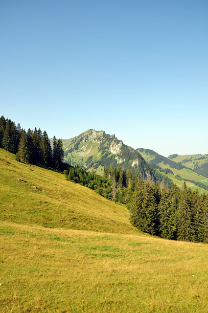 View from Riggisalp // Sicht von Riggisalp