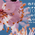 suratul baqara ayat 2:1 to 2:2 சூரத்துல் பகரா தப்சீர்