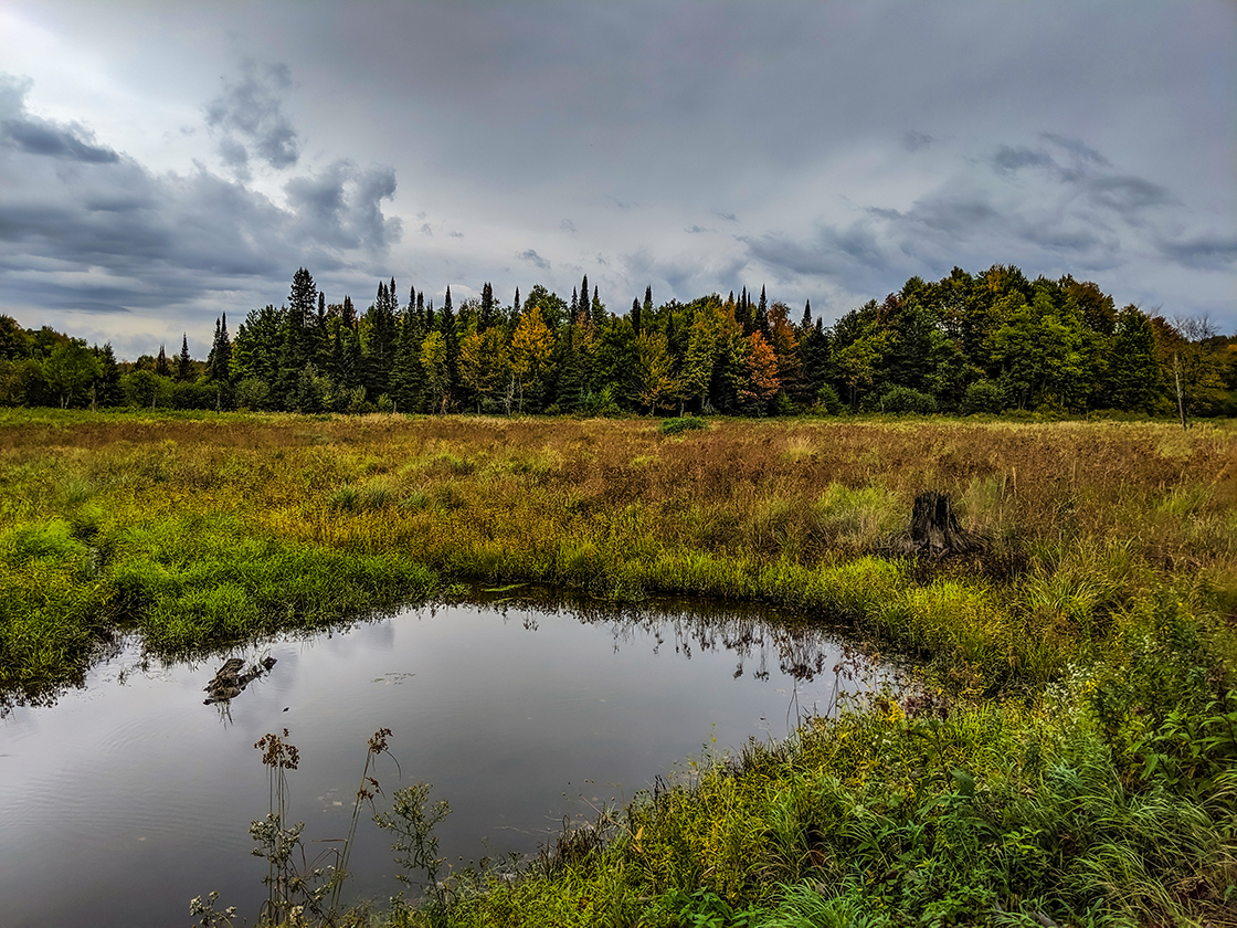 Ice Age Trail Camp 27 Segment Beaver Pond