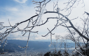 Crystallised Trees