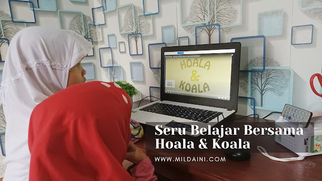 hoala & koala