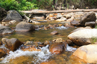 Mirimbah Park, Mt Buller