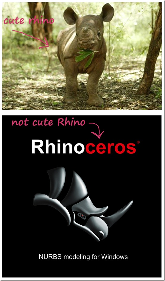 rhino