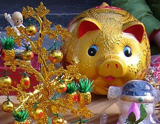 Chinese New Year of the Pig