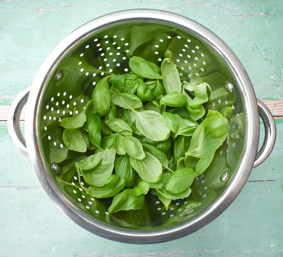 fresh basil in a colander