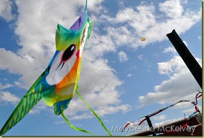 DSC_1391_4050