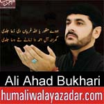 https://www.humaliwalyazadar.com/2018/10/ali-ahad-bukhari-nohay-2019.html