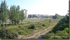 82-DSC04473