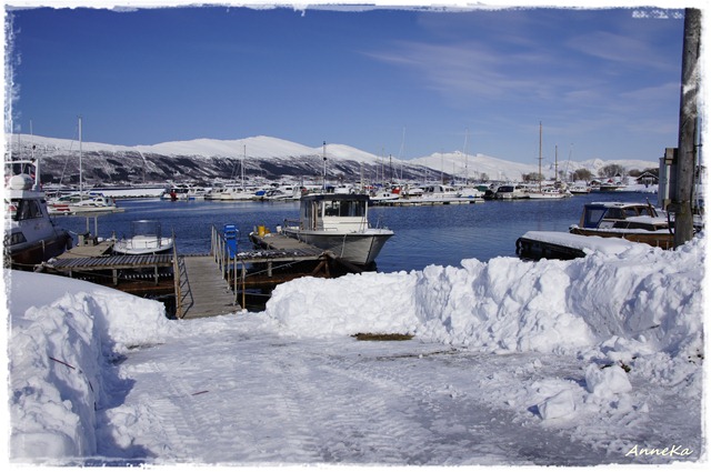 _DSC7590