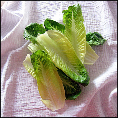 Hors table de Pauline - Fines tranches de bœuf et salade, façon lasagne, au pesto.