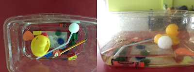 Sink and Float Science Experiment