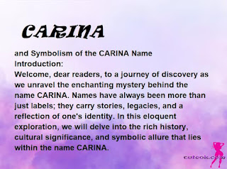 meaning of the name "CARINA"