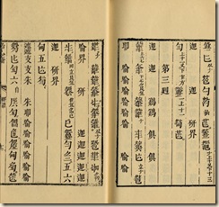 p61